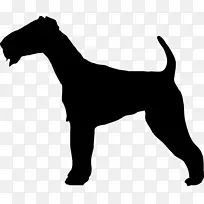 爱尔兰猎犬，边境猎犬，约克郡猎犬，威尔士猎犬，杰克罗素猎犬，猎犬轮廓