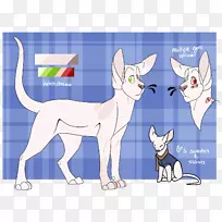 胡须犬培育猫