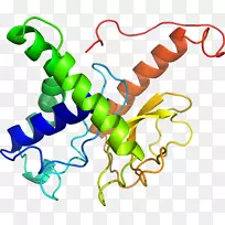 生物线动物剪贴画线