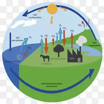 氧循环、碳循环、水循环、生物地球化学循环-水