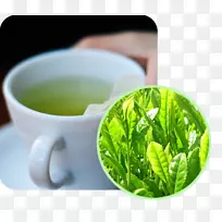 绿茶、抹茶、马萨拉茶、白茶-茶