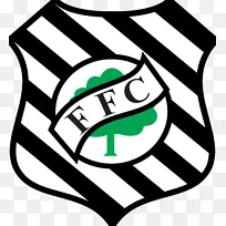 Estádio Orlando Scalpelli Figueirense FC Campeonato Brasileiro série b Oester futebol集群vila nova futebol集群-足球