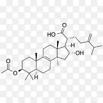 脱氢表雄酮化学配方化合物孕烯醇酮