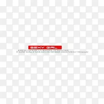 标志品牌线字体线