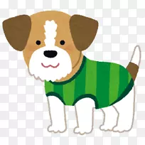 犬种小狗杰克罗素猎犬意大利灰狗小狗