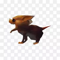 犬种鼻犬
