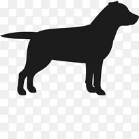 拉布拉多猎犬-拉布拉多犬