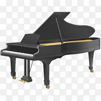 大钢琴赛勒钢琴有限公司卡瓦伊乐器-钢琴