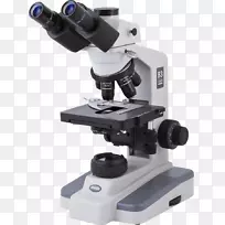 光学显微镜、数字显微镜、偏光显微镜、显微镜幻灯片.显微镜
