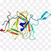 线点生物剪贴画线