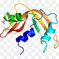 线点生物剪贴画线