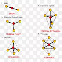三角平面分子几何分子VSEPR理论-空间