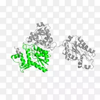 标识体珠宝线字体-珠宝