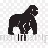 大猩猩狗失踪环节保安系统熊-大猩猩