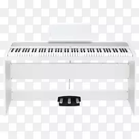 键盘数字钢琴乐器.键盘