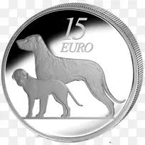 爱尔兰欧元硬币犬种猎犬-爱尔兰狼犬
