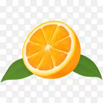 柠檬橘子葡萄柚酸橙半橙