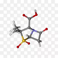 氨苄西林/舒巴坦β-内酰胺酶抑制剂头孢哌酮-DailyMed