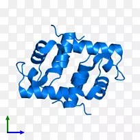 线点生物剪贴画线