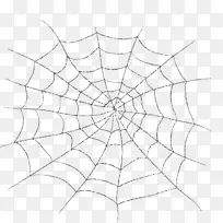 蜘蛛网蜘蛛丝透明半透明剪贴画蜘蛛