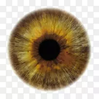 眼色虹膜配色方案-眼睛