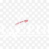 徽标近距离线天空plc字体线