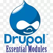 Drupal内容管理系统web开发-WordPress