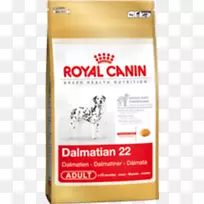 马耳他犬，达马提安犬，约克郡小狗，皇家犬