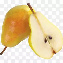 亚洲梨食梨×梨果肉解剖