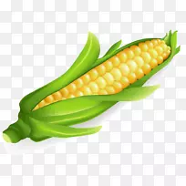 玉米上的玉米蔬菜甜玉米食品-蔬菜