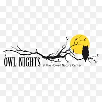猫头鹰之夜豪厄尔自然中心平面设计绘图剪辑艺术-大角猫头鹰