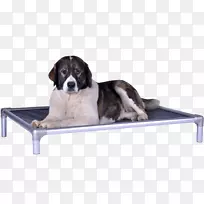 玩具狗床架双层床矫形枕