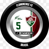 弗鲁米嫩斯圣保罗FC 2010 Campeonato Brasileiro série