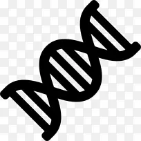 计算机图标dna间隔dna