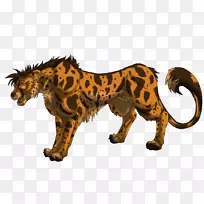 猎豹大猫陆生动物野生动物猎豹