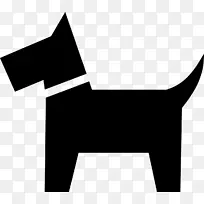 阿富汗猎犬Saluki象形文字宠物狗走路-狗的智力