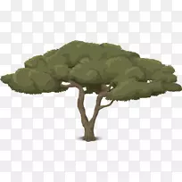 树枝动画树