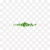 麦草桌面壁纸叶近距离植物茎叶