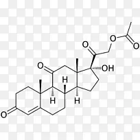 皮质醇氢化可的松糖皮质激素皮质类固醇