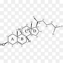 胆固醇烯烃二甲基烯丙基焦磷酸脱氢表雄酮-胆碱雌激素