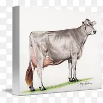 奶牛棕色瑞士牛模拟牛Fleckvieh zebu-牛画