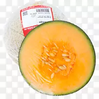 蜜瓜、黑皮瓜、果瓜、冬瓜、香瓜