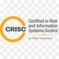 ISACA认证信息系统审计师专业认证信息安全经理风险管理-一带一路倡议