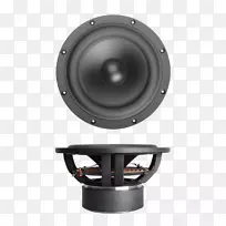 低音炮扬声器声学欧姆