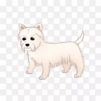 西部高原白狗凯伦犬珍稀品种(狗)伴生犬种-小狗