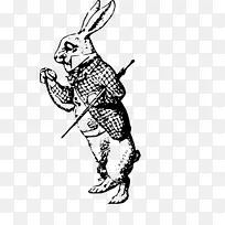 白兔画线艺术剪贴画-兔子