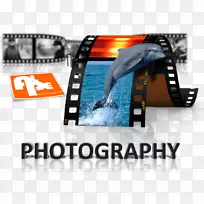 红鼻子e il delfino blu品牌电子产品展示广告-海豚