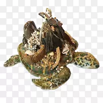 龟塘龟舞轻龟