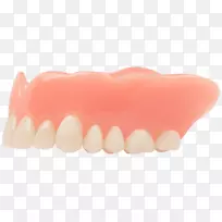 牙齿义齿，牙科，人嘴，杨木，牙本质