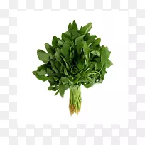 菠菜籽菜
